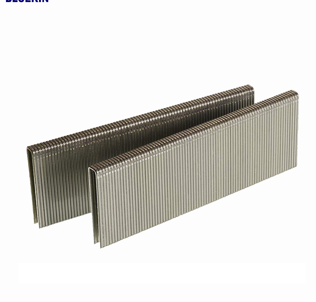 Heavy Duty Galvanized Staples