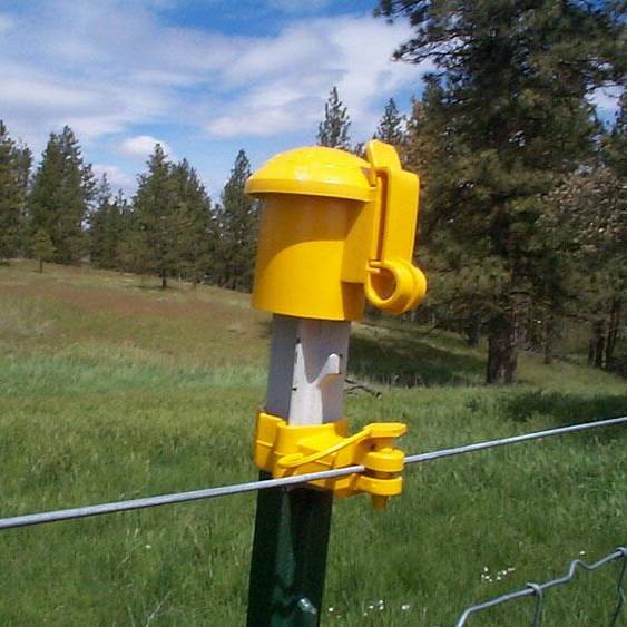 Star Picket Safety Cap