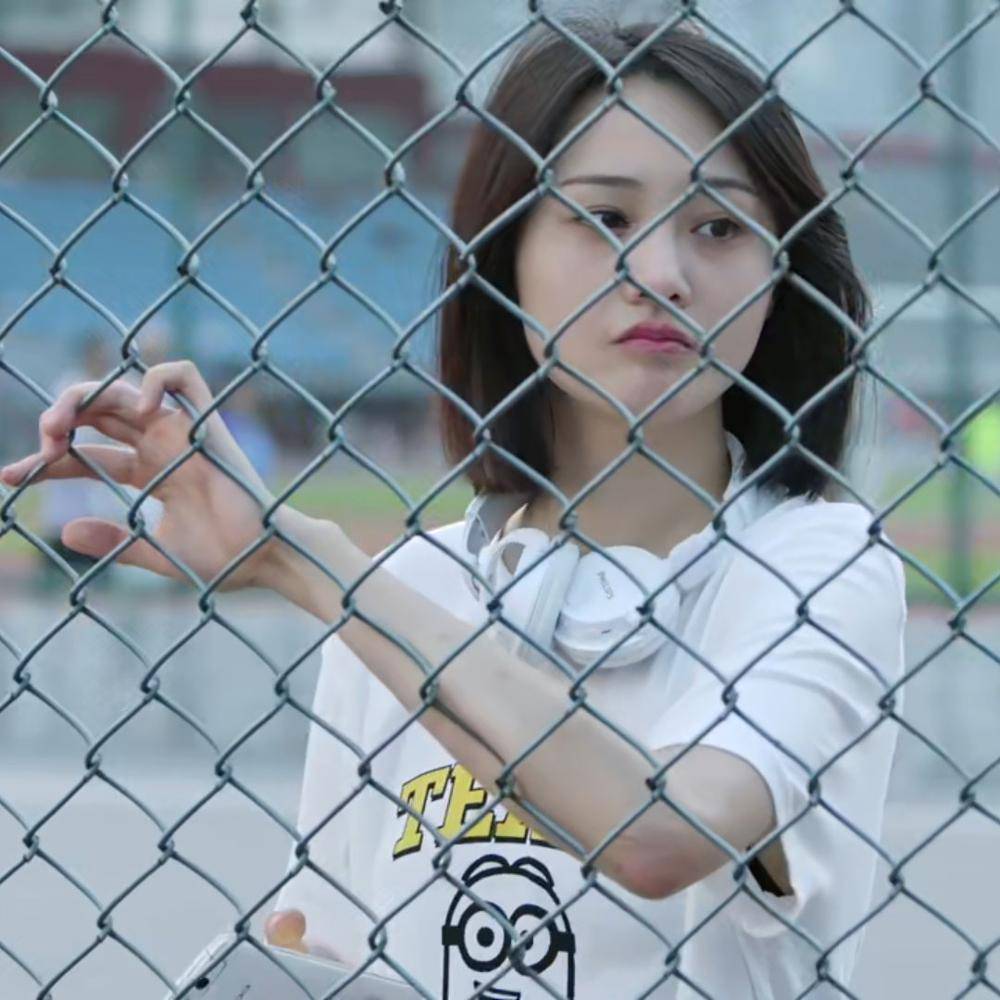 Diamond Chain Link Fence